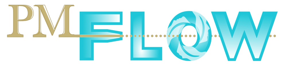 PM Flow Logo